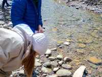 IMG-20260429-WA0050