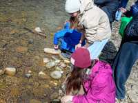 IMG-20260429-WA0051