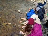 IMG-20260429-WA0052