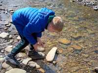 IMG-20260429-WA0053