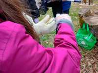 IMG-20260429-WA0055