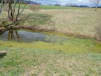 IMG-20260429-WA0072
