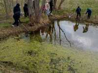 IMG-20260429-WA0074