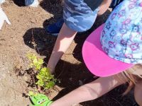 439242033_122146712282180006_423955331656359323_n