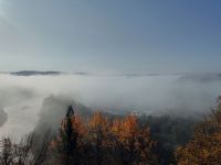 1667130044894