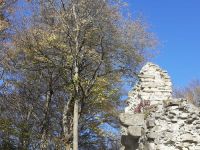 IMG-20221028-WA0001