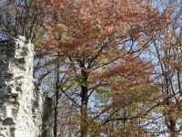 IMG-20221028-WA0002