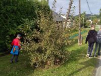 IMG-20220922-WA0002