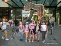 IMG_20180611_184949_HDR