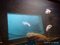 IMG_20180612_094841