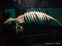 IMG_20180612_100241