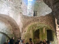 IMG_20230606_113525_190