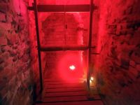 IMG_20230607_104741_894