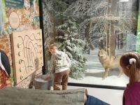 IMG-20251021-WA0051