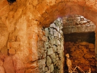 ©Bogdan Szczupaj (23)