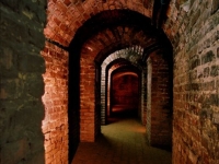 ©Bogdan Szczupaj (6)