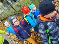 IMG_20231024_132048
