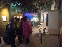 IMG_20210614_115145_262