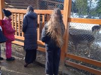 IMG-20230226-WA0010