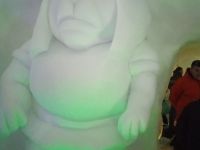IMG-20230226-WA0016